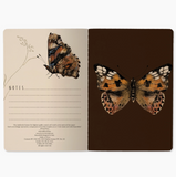Notebook - Butterflies On Bush - Full Circle Gifts & Goods