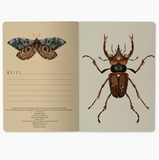 Notebook - Entomology