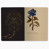 Notebook - Forest Berries