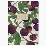 Notebook - Figs On White Background