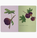 Notebook - Figs On White Background