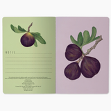 Notebook - Figs On White Background