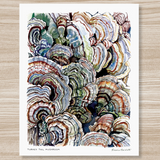 Rosalie Haizlett  Print - Turkey Tail Mushrooms