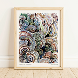 Rosalie Haizlett  Print - Turkey Tail Mushrooms