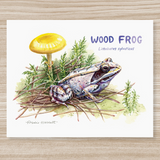 Rosalie Haizlett  Print - Wood Frog