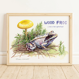 Rosalie Haizlett  Print - Wood Frog