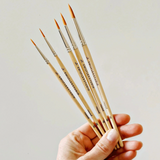 Watercolor Paintbrushes Set Of 5 - Full Circle Gifts & Goods