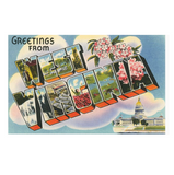 Rhododendron Greetings From West Virginia Magnet - Full Circle Gifts & Goods