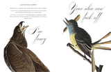 Effin' Birds: A Field Guide to Identification - Full Circle Gifts & Goods
