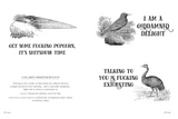 Effin' Birds: A Field Guide to Identification - Full Circle Gifts & Goods