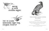 Effin' Birds: A Field Guide to Identification - Full Circle Gifts & Goods