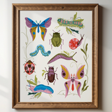 Insect Study Giclée Art Print