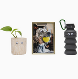 Googly Eyes: Emergency Adhesive Eyeballs Kit