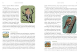 Birding for Boomers: And Everyone Else Brave Enough to Embrace the World’s Most Rewarding and Frustrating Activity