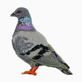 Pigeon Patch