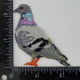 Pigeon Patch