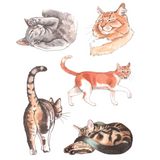 The Cat's Meow Sticker Book: 100+ Stickers of Fluffy, Feisty, and Fabulous Felines