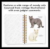 Brass Monkey Moody Cats Sticker Book