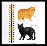 Brass Monkey Moody Cats Sticker Book