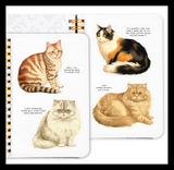 Brass Monkey Moody Cats Sticker Book
