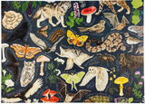 Midnight Flora & Fauna 1000 Piece Jigsaw Puzzle