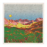 The American Basin Art Print