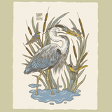 Pasadena Audubon Giclee Print: La River