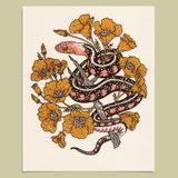 Giclee Print: Snake + Poppies