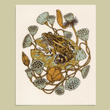 Giclee Print: Frog, Lotus Pods, + Lotus Flowers