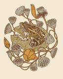 Giclee Print: Frog, Lotus Pods, + Lotus Flowers