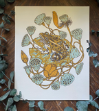 Giclee Print: Frog, Lotus Pods, + Lotus Flowers