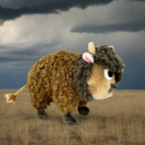Buffalo Fluffalo Plush