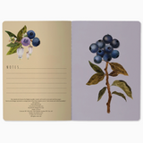 Notebook - Wild Blueberry
