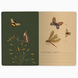 Notebook - Butterflies + Friends