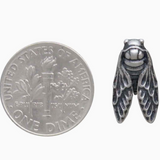 Sterling Silver Cicada Stud Earrings