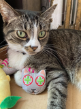Catnip Cat Toy - Toy Assortment