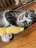Catnip Cat Toy - Toy Assortment