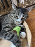 Catnip Cat Toy - Toy Assortment