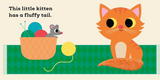 This Little Kitten: A Touch and Feel Book