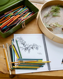 Botanical Illustrations Workbook