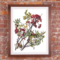 ROSALIE HAIZLETT  PRINT - MOUNTAIN ASH
