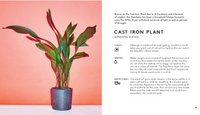 THE LITTLE BOOK OF HOUSEPLANTS