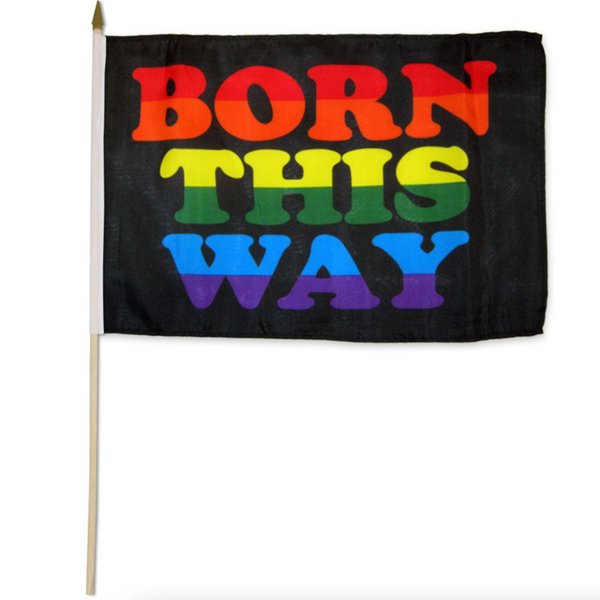 BORN THIS WAY RAINBOW PRIDE FLAG ON A STICK