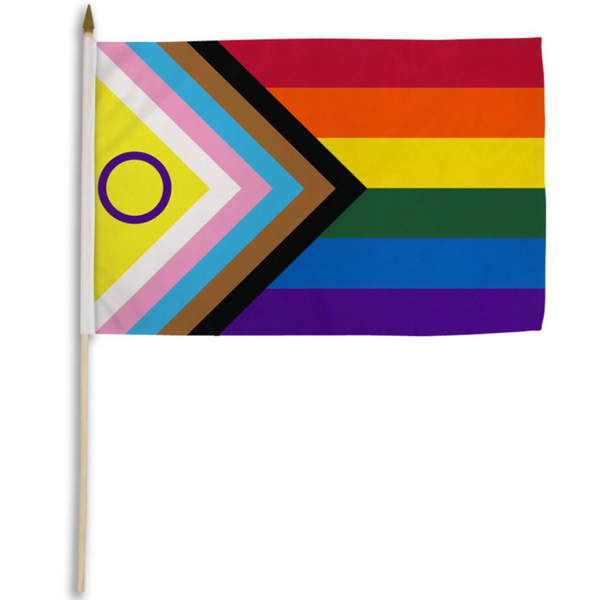 INCLUSIVE PROGRESS PRIDE FLAG ON A STICK