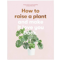 HOW TO RAISE A PLANT + MAKE IT LOVE YOU BACK