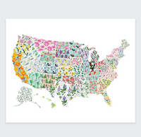 UNITED STATES BIRDS + FLOWERS MAP ART PRINT