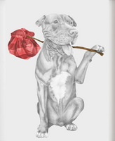 Mac Ar Aghaidh Linn Pit Bull Terrier Art Print