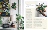 WILD CREATIONS: INSPIRING PROJECTS TO CREATE PLUS PLANT CARE TIPS + STYLING IDEAS FOR YOUR OWN WILD INTERIOR