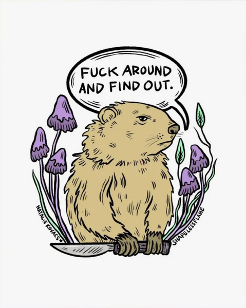 GROUNDHOG FUCK AROUND AND FIND OUT ART PRINT